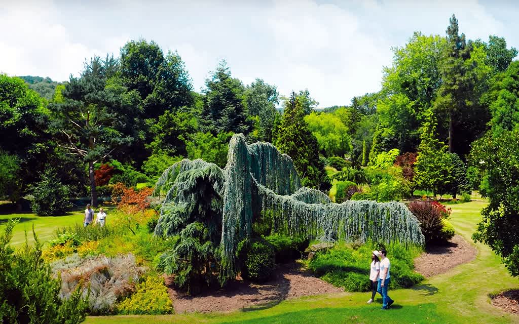 Karaca Arboretumu